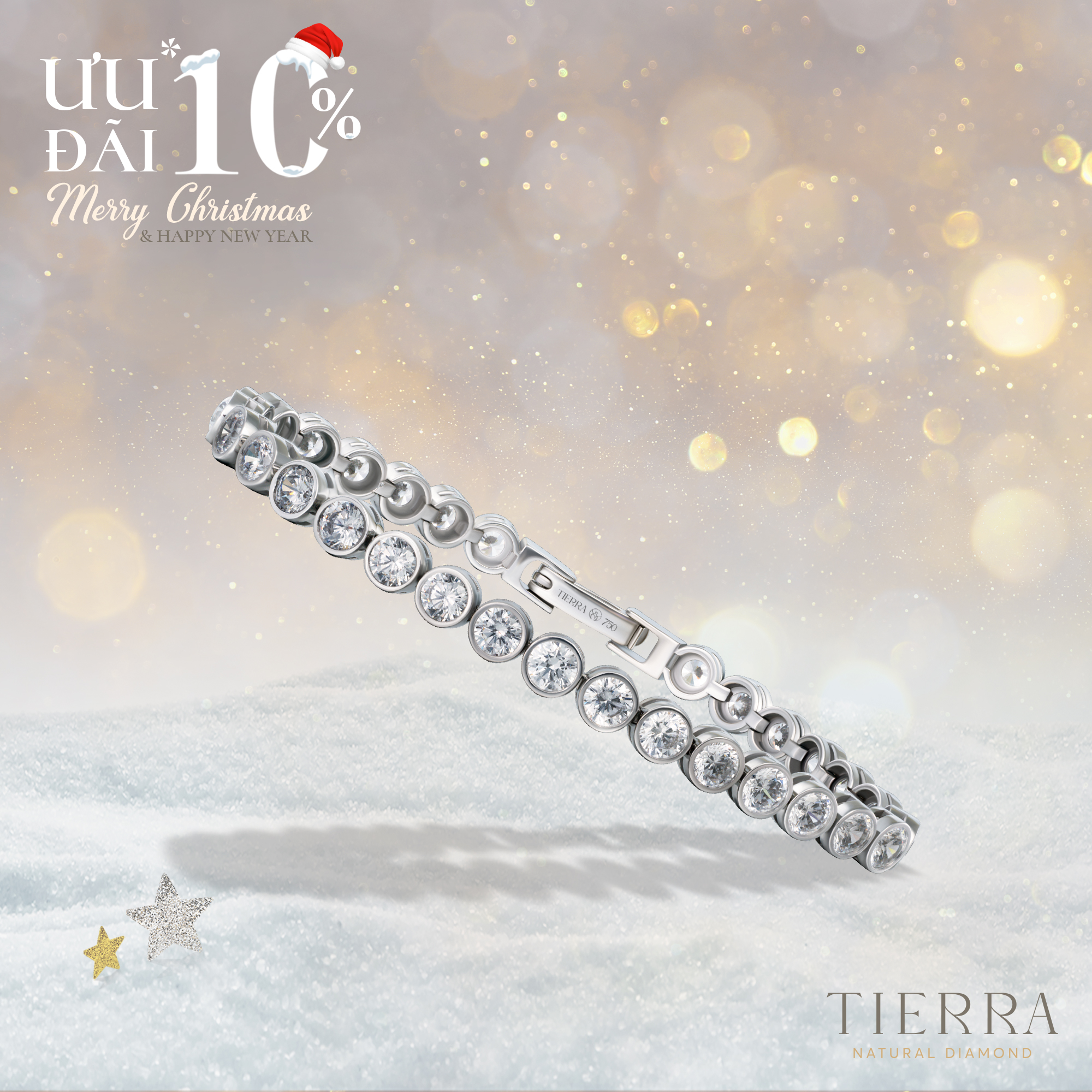 10% off all jewelry cases - Merry Christmas & Happy New year - 6